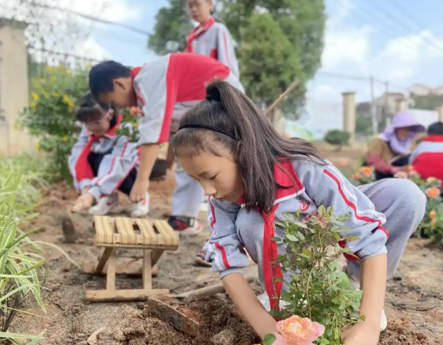 先行探究也有村庄校的量体裁衣其五维推进的体系性实践